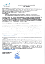 COMPTE_RENDU_19-10-2020.pdf